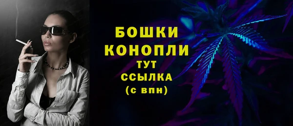 ГАЛЛЮЦИНОГЕННЫЕ ГРИБЫ Кукмор