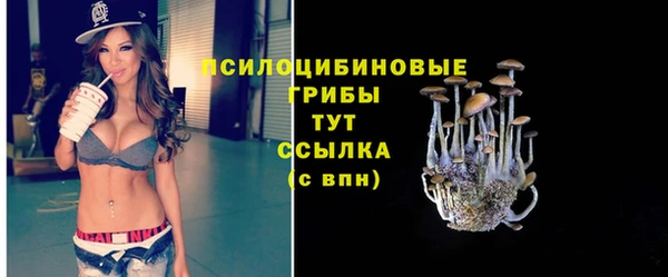 прущий лед Красноперекопск