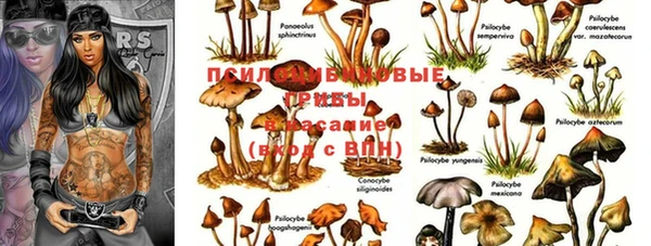 марихуана Бежецк