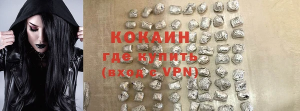 индика Коряжма