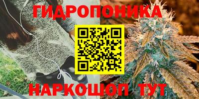 соль курить ск Кингисепп
