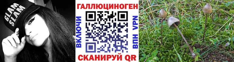 Галлюциногенные грибы Psilocybe  наркошоп  Кумертау 