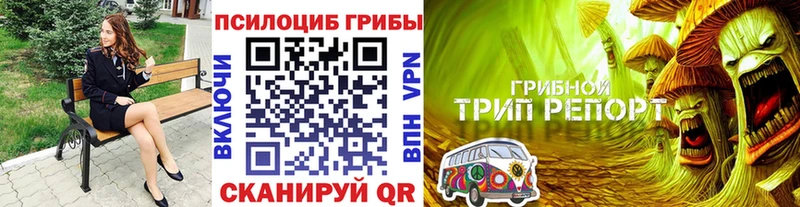 Псилоцибиновые грибы прущие грибы Кумертау