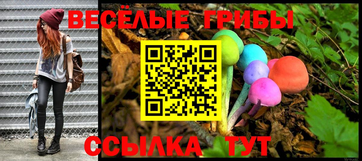 Псилоцибиновые грибы MAGIC MUSHROOMS Кумертау